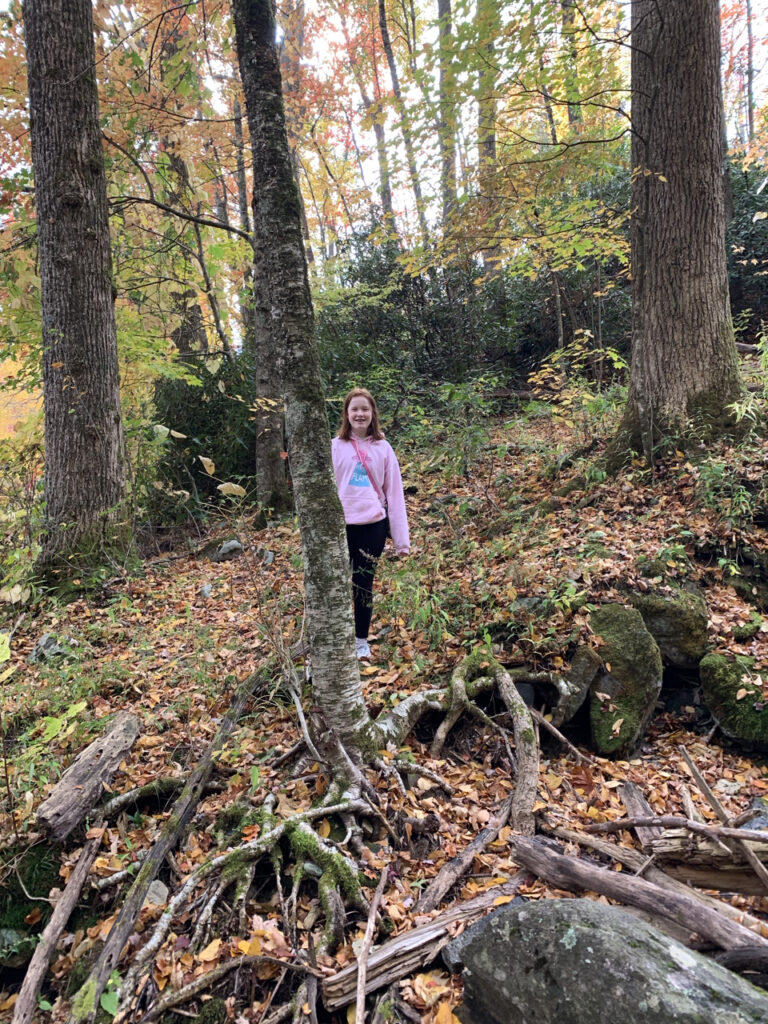 Cameron hiking in the woods at the peak of fall in the Great Smoky Mountains National Park.