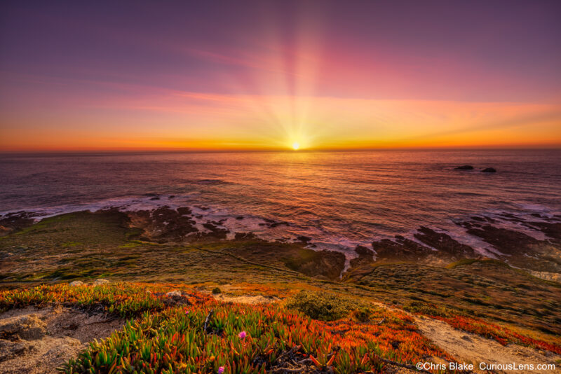 A panoramic view from Soberanes Point and Whale Peak in central California, showcasing a field of wildflowers lit by the setting sun. The scene transitions from vibrant flora to a rugged coastline meeting the Pacific Ocean. A brilliant California sunset with glowing yellow clouds creates a tranquil atmosphere, emphasizing the natural beauty and solitude of this unique location.