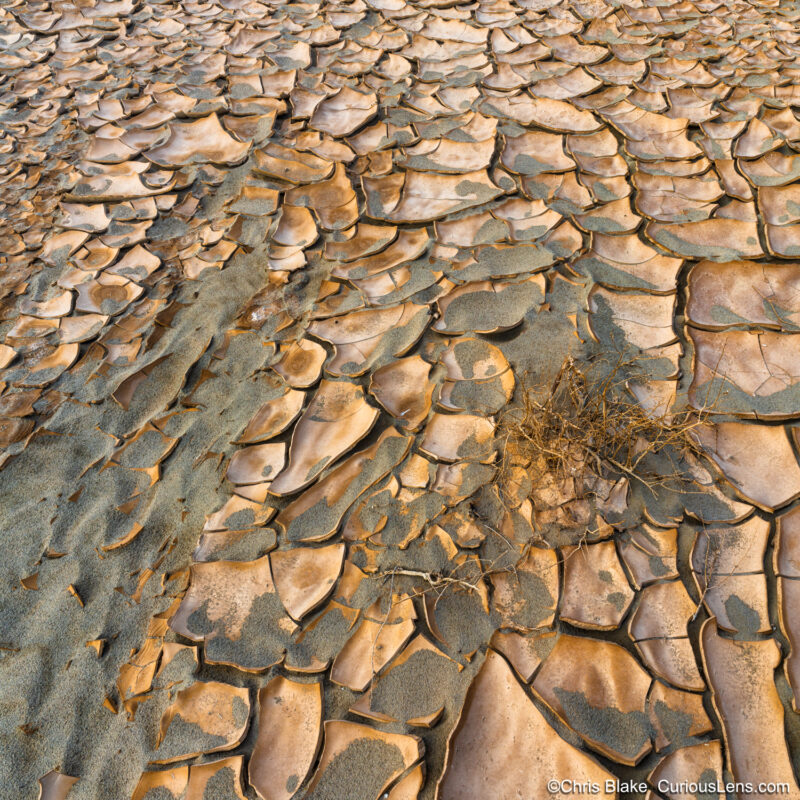 Cracked dried mud in the Desert of Death Valley. Late afternoon light gives a worm glow across the entire scene. As a single desert brush breaks through.