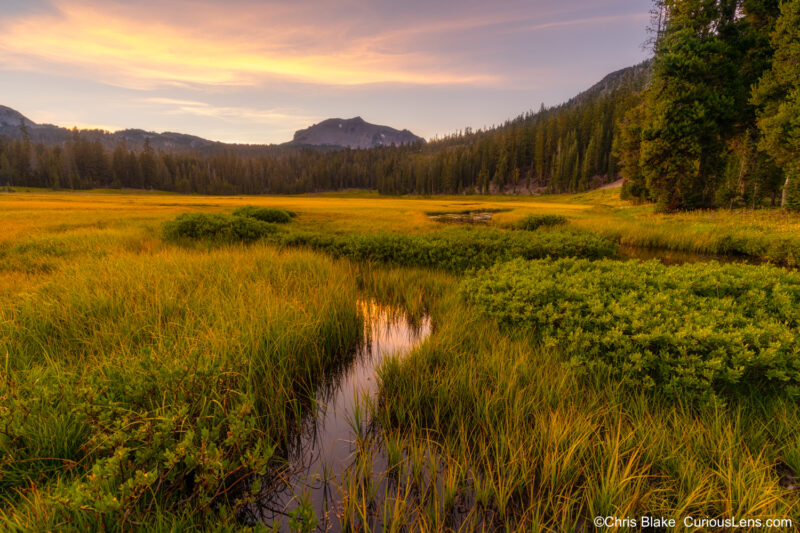 A panoramic view of a meadow in Lassen Volcanic National Park, featuring lush tall grasses and a winding creek that leads to a line of trees. In the background, Lassen Peak stands tall, silhouetted against a dramatic sunset, with vibrant shades of yellow and red filling the sky. The peaceful scene showcases the park's natural beauty and contrasts with its more active geothermal features like Bumpass Hell.