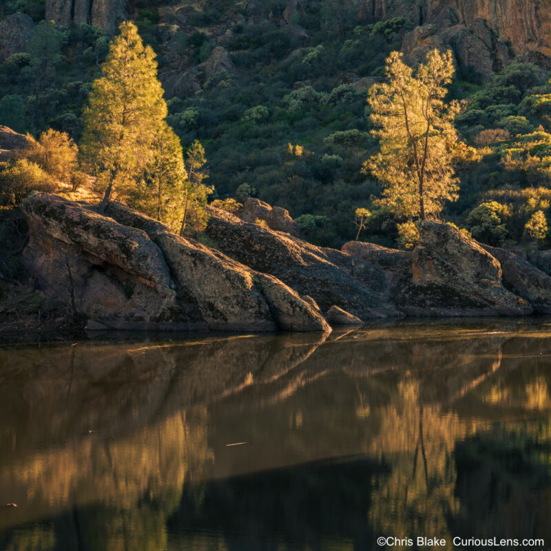 A serene scene at Bear Gulch Reservoir in Pinnacles National Park, taken after sunrise. The early light illuminates the trees across the water, creating a gentle glow. The calm water provides a mirror-like reflection, capturing the stunning high valley and the illuminated trees. This quiet moment encapsulates the tranquil beauty of early morning in the park.