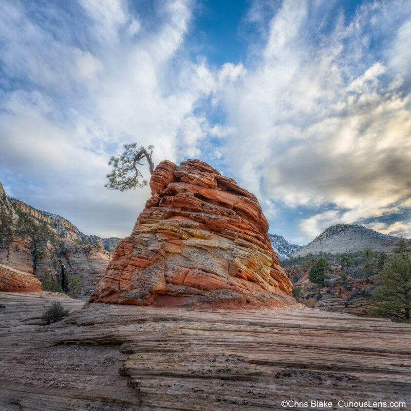 Majestic rock formation in Zion halfway up a mountain, featuring hues of red, yellow, and orange, with a single tree atop and clouds in the sky.