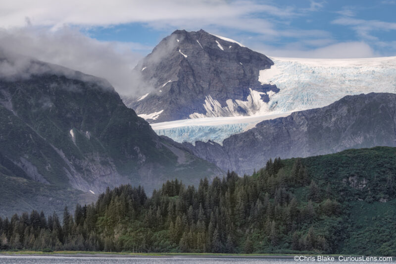 Bear Glacier and Lagoon near Seward, Alaska with colossal icebergs, tranquil ocean waters, verdant ferns, mountain peaks, and warm late afternoon sun.