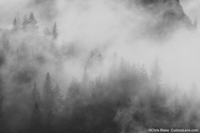 Low fog and cloud-shrouded mountains in Alaska with towering trees partially obscured by drifting clouds, capturing the essence and spirit of the landscape.