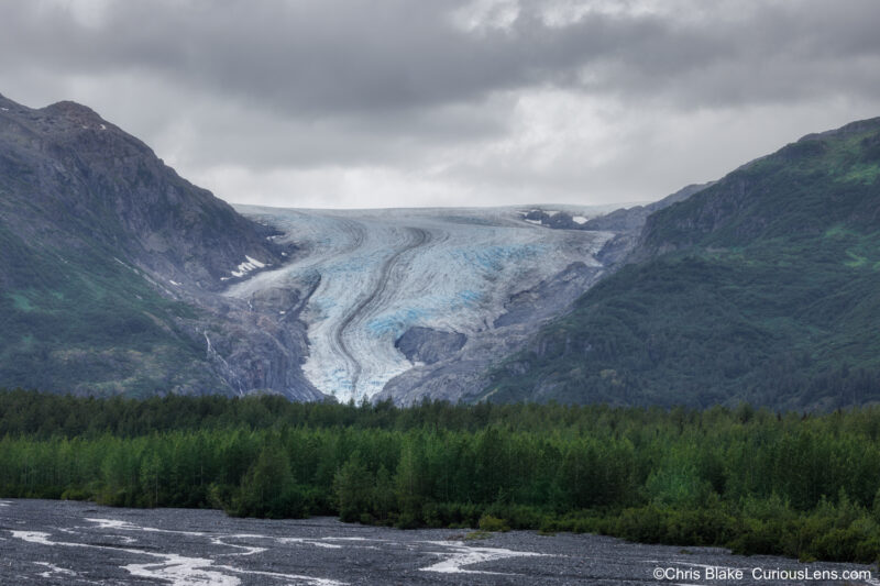 Exit Glacier descending from Harding Ice Field with towering trees in the foreground. Cascading waterfalls from melting ice converge with runoff on the way to the river.