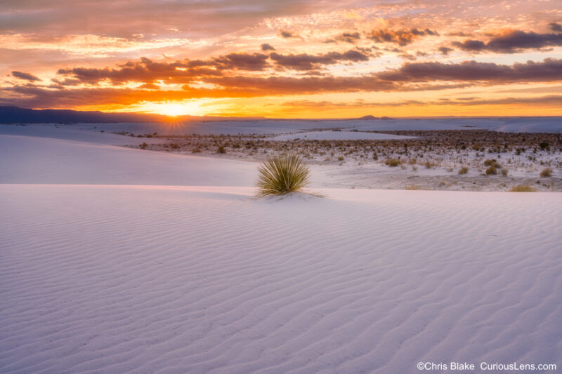 Sunrise over the dunes at White Sands National Park. The early morning light illuminates the desert landscape, highlighting a yucca plant in the foreground. The sky transitions into a vibrant spectrum of colors as the sun rises, casting a warm glow over the white sands. This photo encapsulates the serene beauty and tranquil atmosphere of the park at dawn.