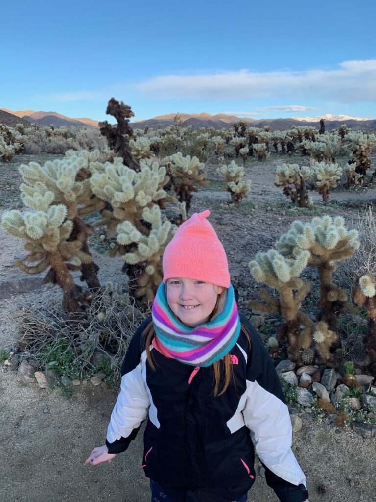 Cameron in the Cholla Cactus Garden, in the early morning, pre-dawn in Joshua tree National Park.