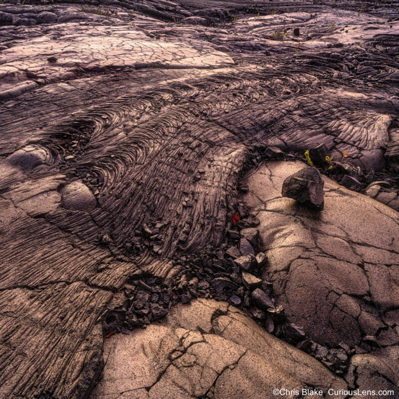 Morning light over the lava fields in Volcano National Park, Hawaii, highlighting the intricate shapes, patterns, and textures of the rugged rock. New life emerges amid the sharp rocks, contrasting with the softer background.