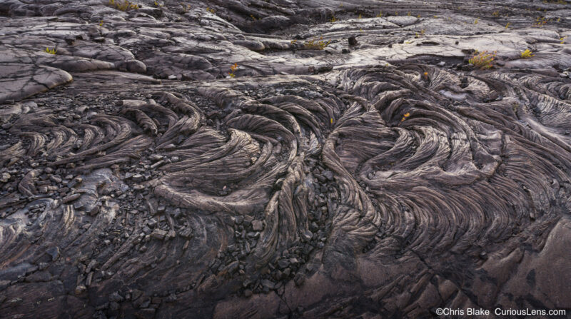 Close-up of Hawaii's dried lava fields at sunrise in Big Island's National Park, with swirling patterns, cracks, and resilient flowers breaking through the dark grey surface. Warm dawn light casts a glow that highlights the delicate textures of the volcanic landscape.