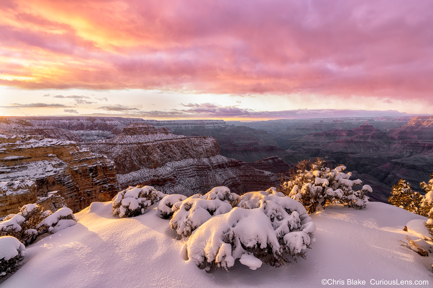 Snow-covered Grand Canyon at sunset, photographed from Moran Point. The scene captures the canyon glowing red as the last rays of sunlight reflect off the snowy landscape. Desert shrubs coated in snow add a unique touch to the rugged terrain, creating a stunning contrast against the vibrant sunset backdrop.