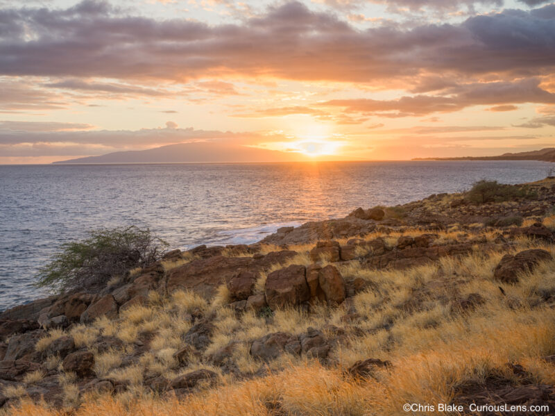 Sunset over volcanic rocks and tall grass near a small cliff, with the warm last light of the day contrasting against cool volcanic rocks. The sky glows red and yellow, and the ocean shifts from blue to crimson in this picturesque landscape.