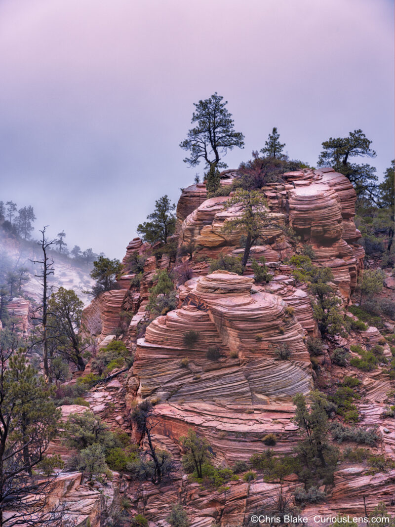 Rock formations in Zion National Park during a sunset with a red sky. The scene features sandstone cliffs shaped by weather, erosion, and time. The rocks are wet from a mix of rain and snow, adding depth and contrast to the layers. Lush green trees provide a vivid contrast to the dark tones of the landscape.