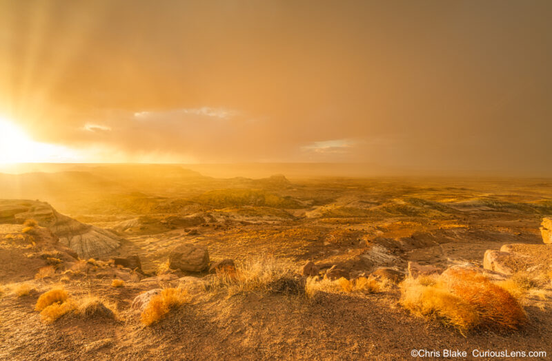 A storm began to form at sunset in Petrified Forest National Park, creating a dramatic scene with golden light. The clouds parted just enough to illuminate the landscape in a warm glow, while the wind whipped up dust that caught the light, adding to the unique beauty of the moment.