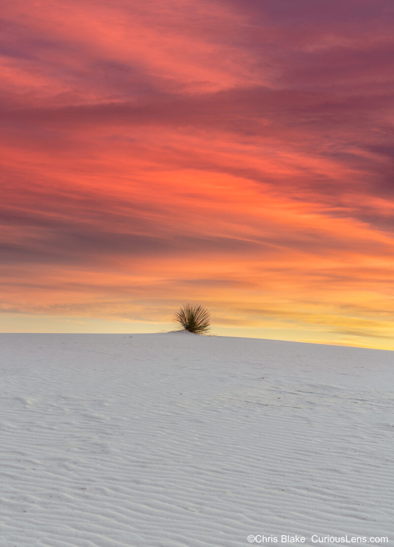 Early entry permits granted us pre-dawn access to White Sands National Park, offering a unique opportunity to capture sunrise over the gypsum crystal dunes without the crowds. The park, set within the White Sands Missile Range, features the world's largest white sand dunes. In this image, the pristine dunes lead to a solitary desert yucca plant on a hill, with a striking contrast between the white sand and a dark, dramatic red sky. The scene reflects the beauty and solitude of this unique landscape.