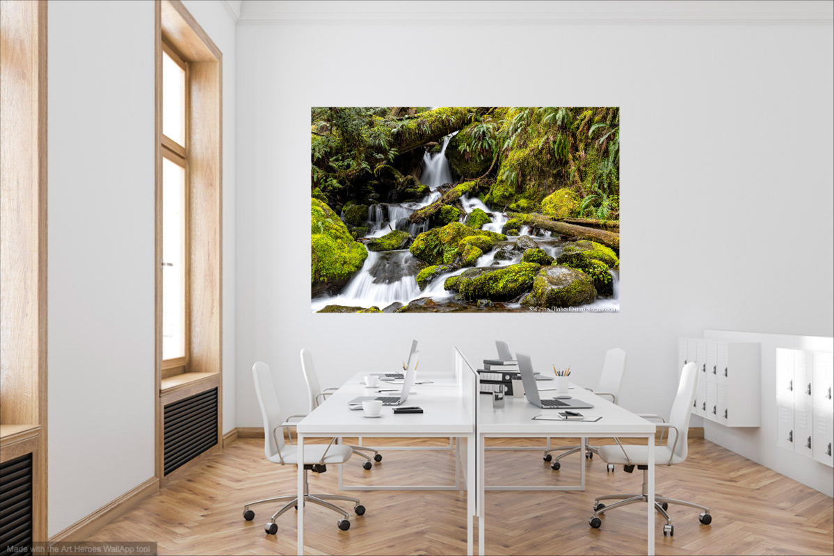 Photo of waterfall from Olympic National Park, hung on a wall in a conference room.