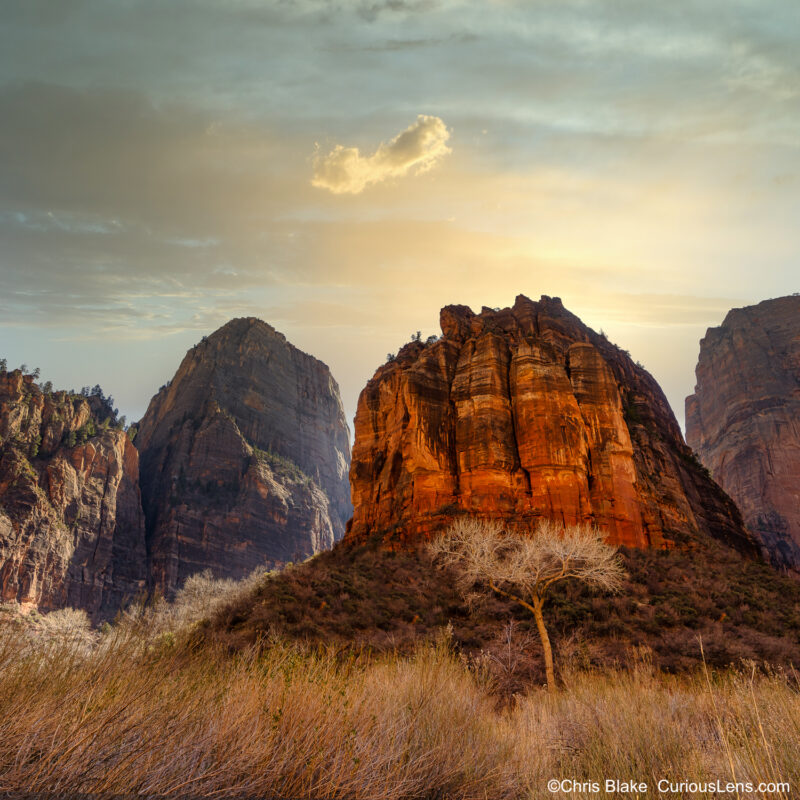 Zion National Park before sunset with glowing red rocks, Virgin River, winter tree, and vibrant sky.