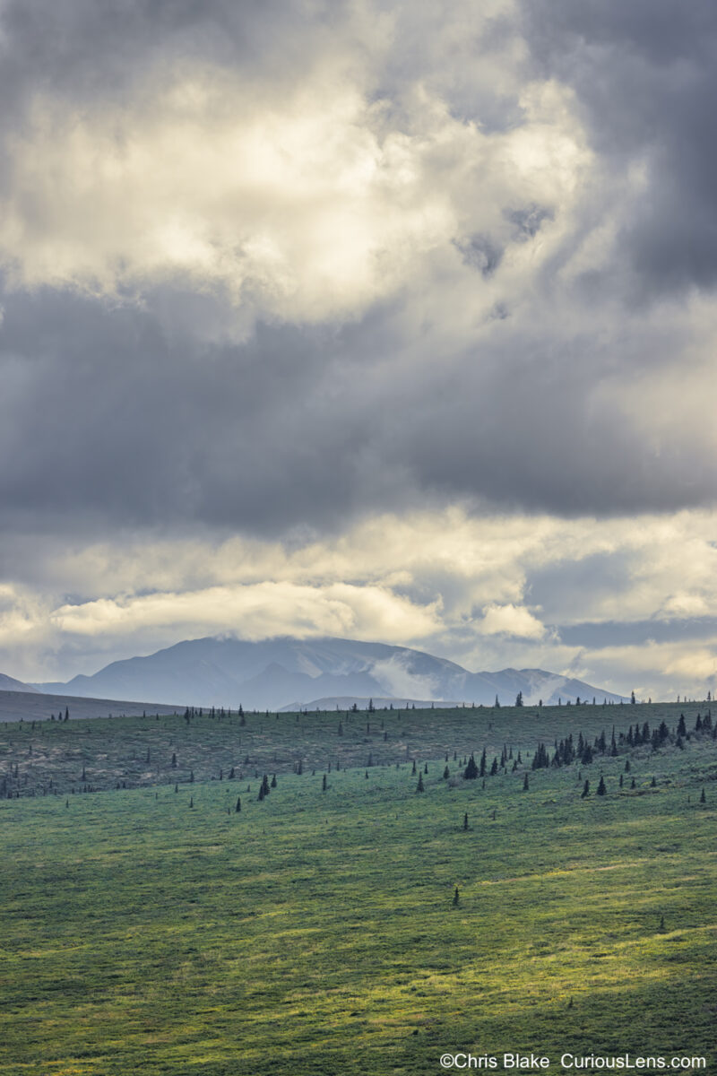 Gentle slopes with verdant hues illuminated by diffused light through storm clouds, against majestic distant mountains in Denali National Park.