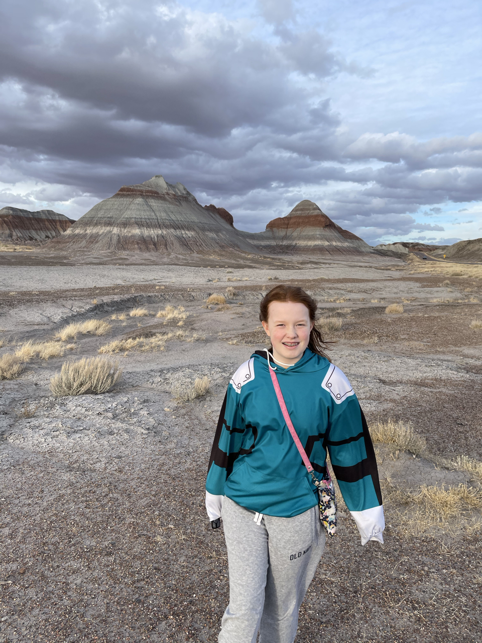 Petrified Forest National Park