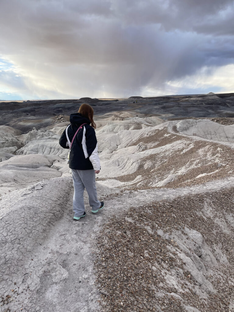 Cameron hiking the ridge line on top of the badlands as a storm approaches us in the Petrified Forest National Park.