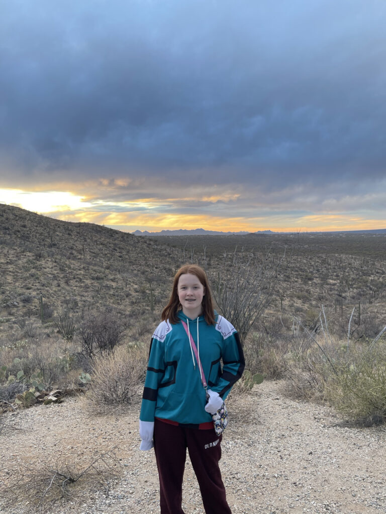 Cameron at sunset with yellow and red clouds at the horizon and dark storm clouds overhead. Taken on the east side of Saguaro National Park.