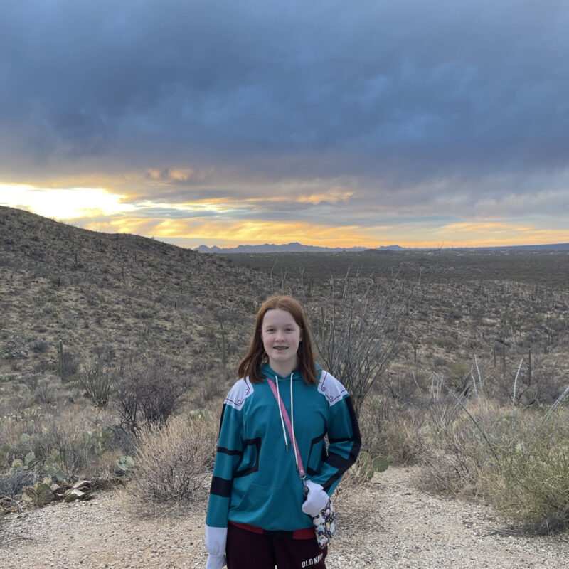 Cameron at sunset with yellow and red clouds at the horizon and dark storm clouds overhead. Taken on the east side of Saguaro National Park.