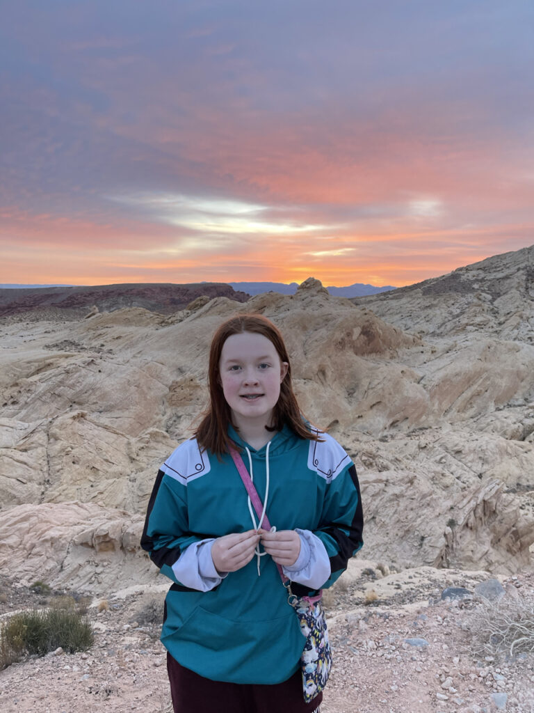 Cameron at the Valley of Fire State Park, standing in the desert overlooking a valley and mountains in the distance. The sky is full of color from sunrise.