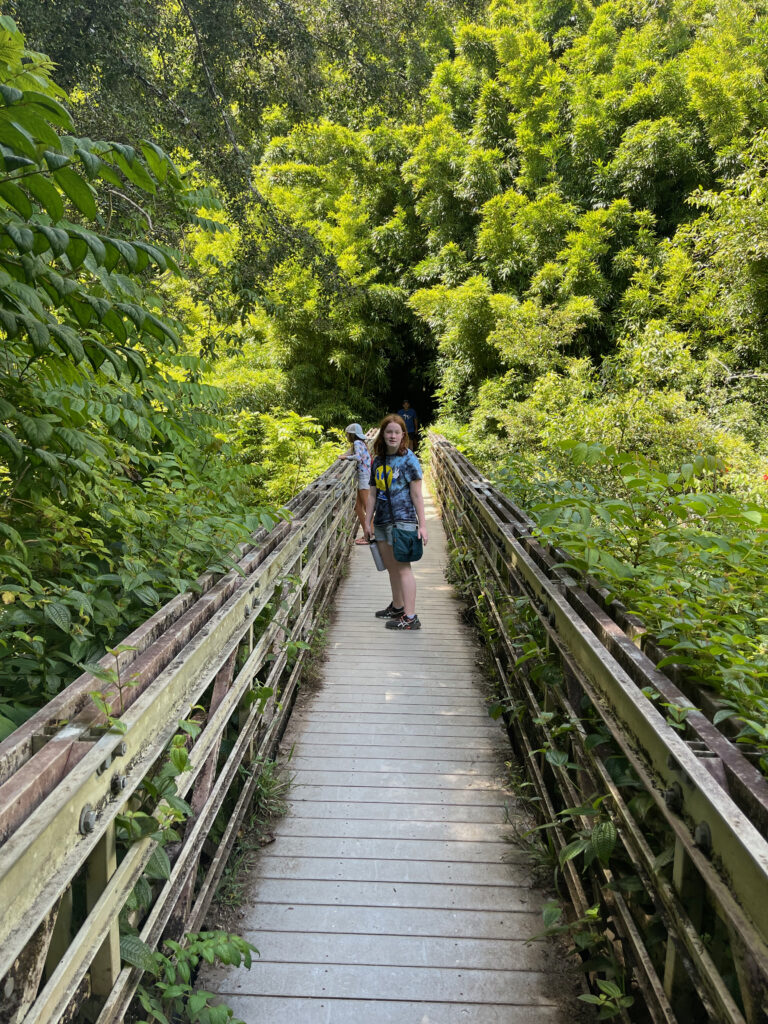 Cameron walking over a bridge in on the Pipiwai Trail in Haleakala National Park, lush green forest is all around us. 