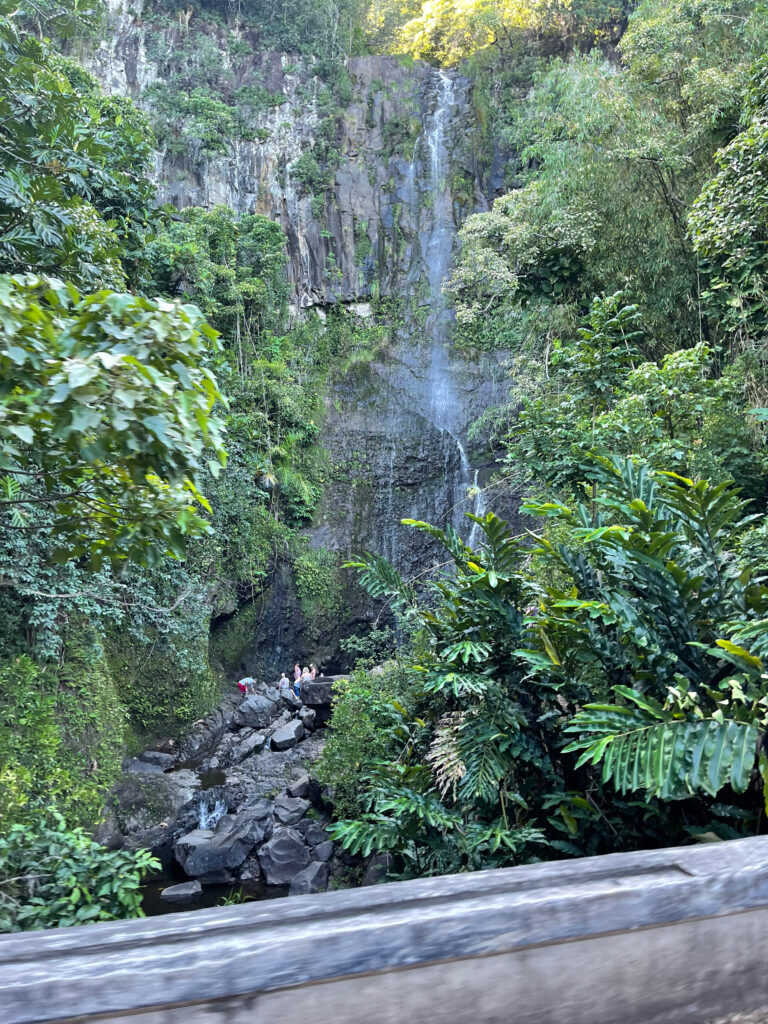 A photo taken from a bridge on the Pipiwai Trail in Haleakala National Park. There is a massive waterfall surrounded by green forest and some people enjoying the water at the base of the falls.  