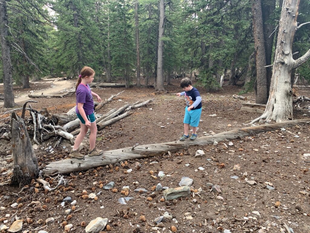 Cameron and Collin playing and climbing on a downed log right off the Alpine Lakes Trail in Great Basin National park.