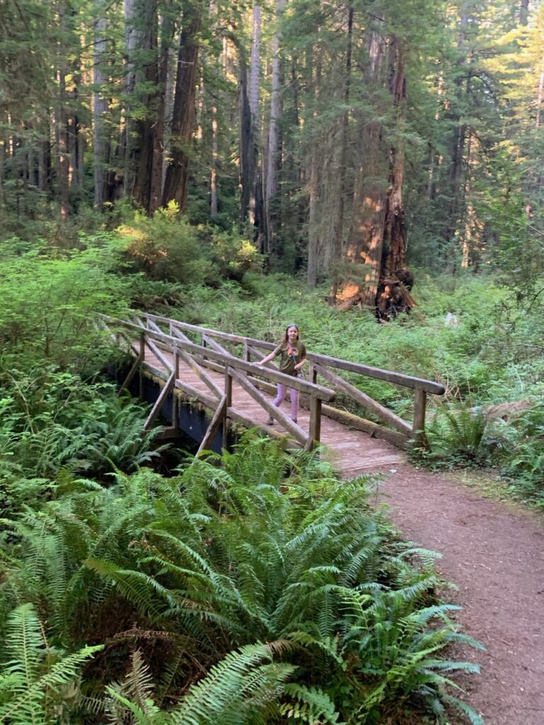 Cameron standing on a bridge over a small creek on a trial in Redwood National Park, with a green forest all around us with spotted sunlight breaking through.