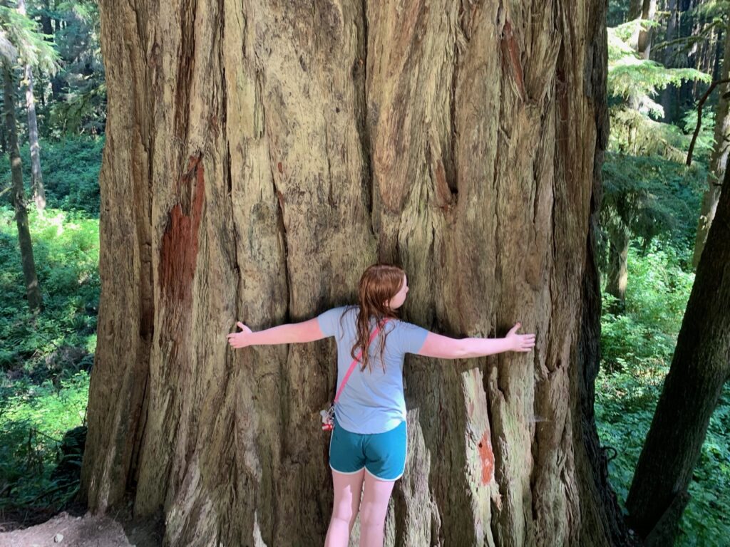 Cameron hugging a giant redwood tree in Redwoods National Park.