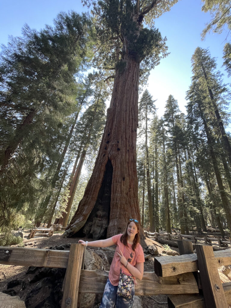 Cameron standing in front of the massive General Sherman Tree. A wide lens distorts the entire photo, as its the only way to capture this impressive sequoia. 