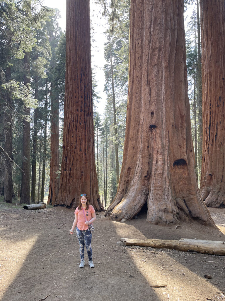 Cameron standing in the shadow of a giant Sequoia tree near the Giant Forest in Sequoia National Park.