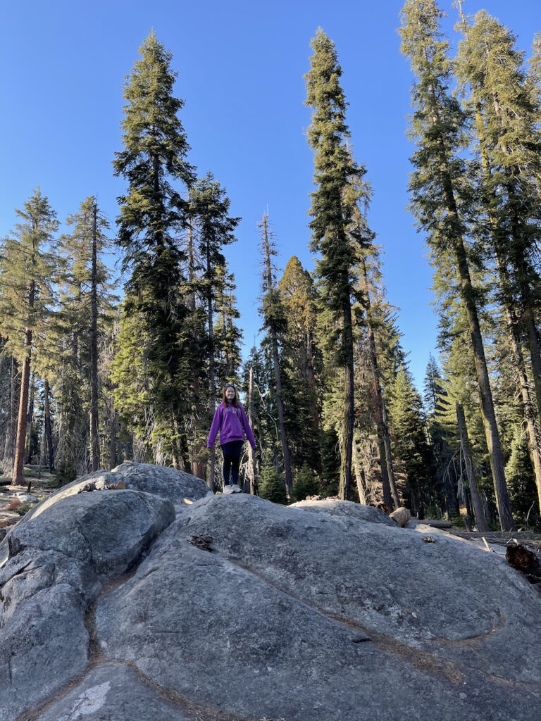 Cameron standing on a giant bolder off the High Sierra Trailhead wearing a purple Cape Cod sweatshirt in Sequoia National Park.