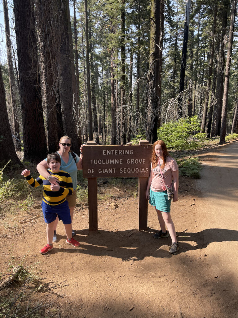 Cat who is holding my son Collin back and Cameron standing in the forest next to the "entering Tuolumne Grove of Giant Sequoias" sign. Its the mid morning and the lush forest is just starting to get the morning light.