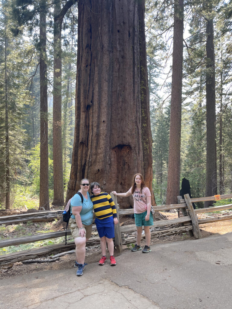 Cat, Cameron and Collin standing next to a wooden fence and massive sequoia trees in the Tuolumne Grove in Yosemite National Park. The mid morning light is just starting to make its way down into the grove. 