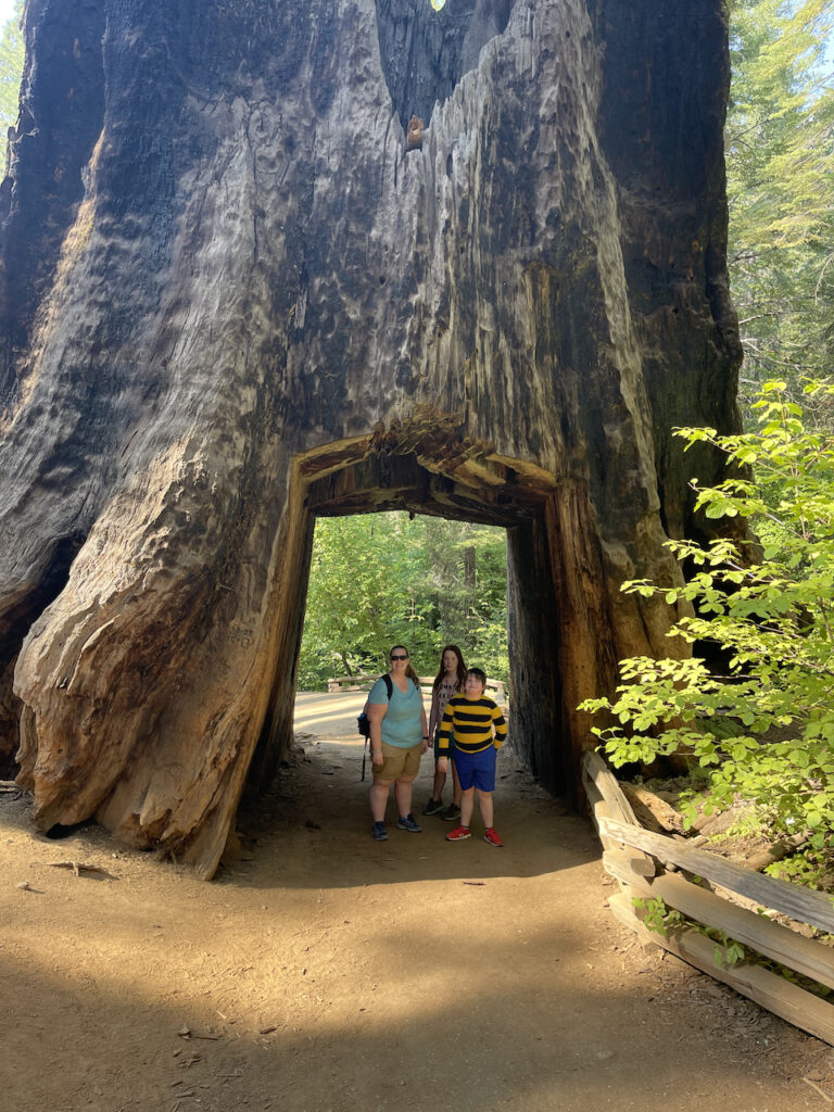 Cat, Cameron and Collin standing inside the cut out of a Giant Sequoia tree in the Tuolumne Grove.