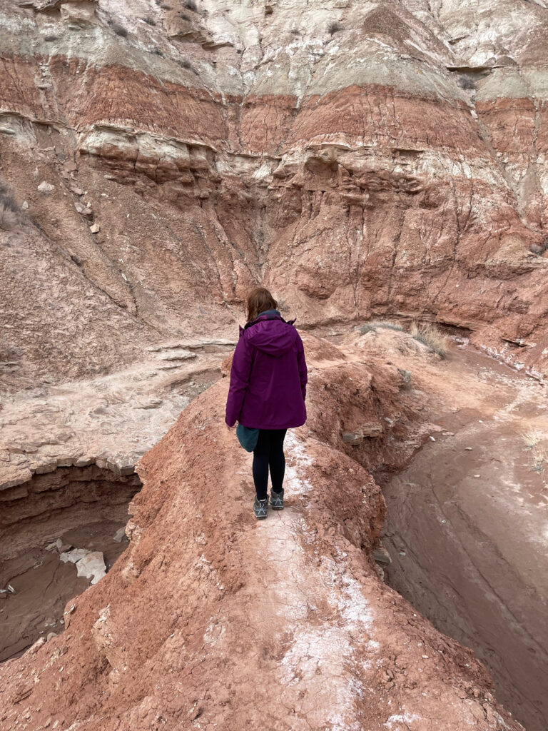 Cameron wearing her purple jacket and hiking the very tall and very narrow section of the trail to the Toadstool Hoodoos in the Grand Staircase. 