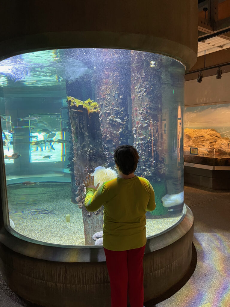 Collin in a yellow long sleeve shirt standing in front of a giant fish tank in the Oregon Coast Aquarium. 