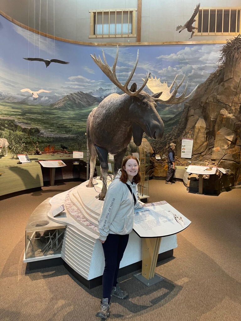 Cameron standing inside the Anchorage Alaska Airport in front of a giant stuffed moose.