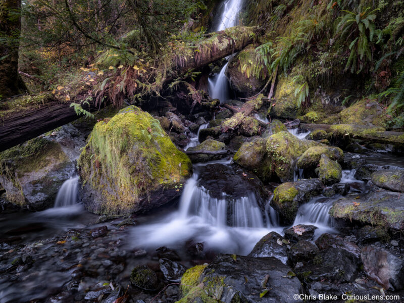 Merriman Falls in Quinault Rain Forest with green moss, dark wet rocks, main waterfall in the background, and a massive fallen tree framing the scene.