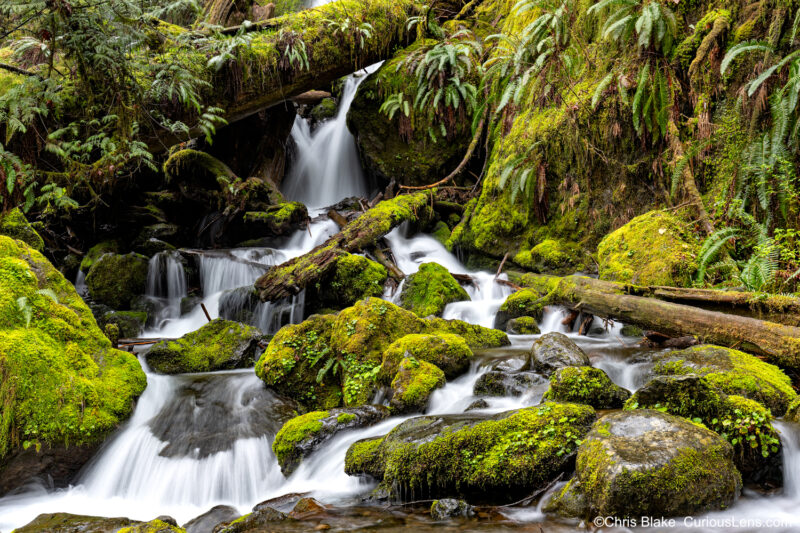 Merriman Falls in Olympic National Park with vibrant green moss, smooth water flowing around rocks, and lush rainforest surroundings.