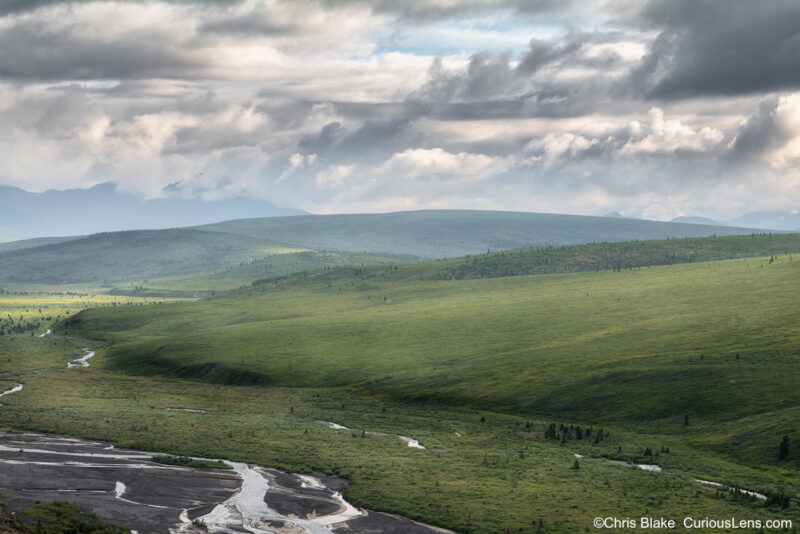 Panoramic view from Savage River Alpine in Denali National Park with dappled light on grassy hills after showers and thunderstorms.