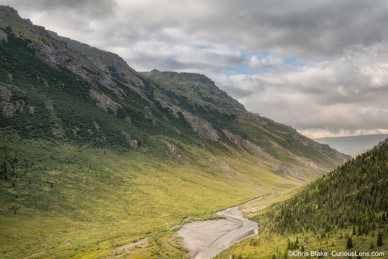 View from Savage River Alpine Trail in Denali National Park with sunlight on moss and grass in Savage Canyon after clouds disperse.