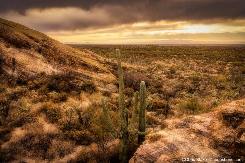 Rincon Mountain District with stormy sky, layers of clouds, giant saguaro, rock formations, dense desert, and distant mountains.