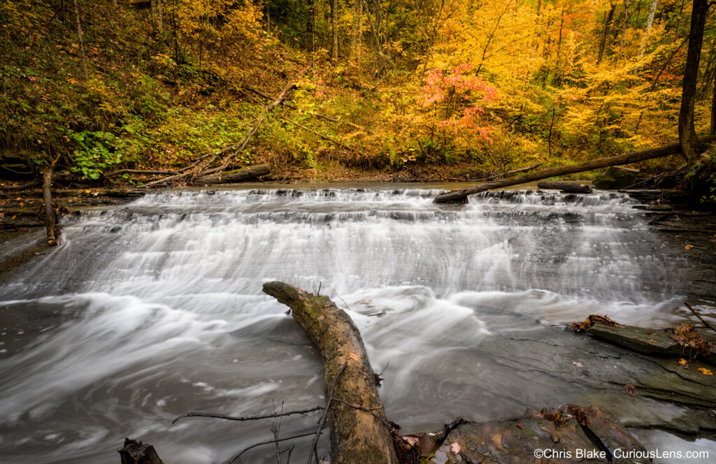 Bridal Veil Falls surrounded by vibrant fall foliage, a fallen tree in the river, and a forest with gentle diffused light.