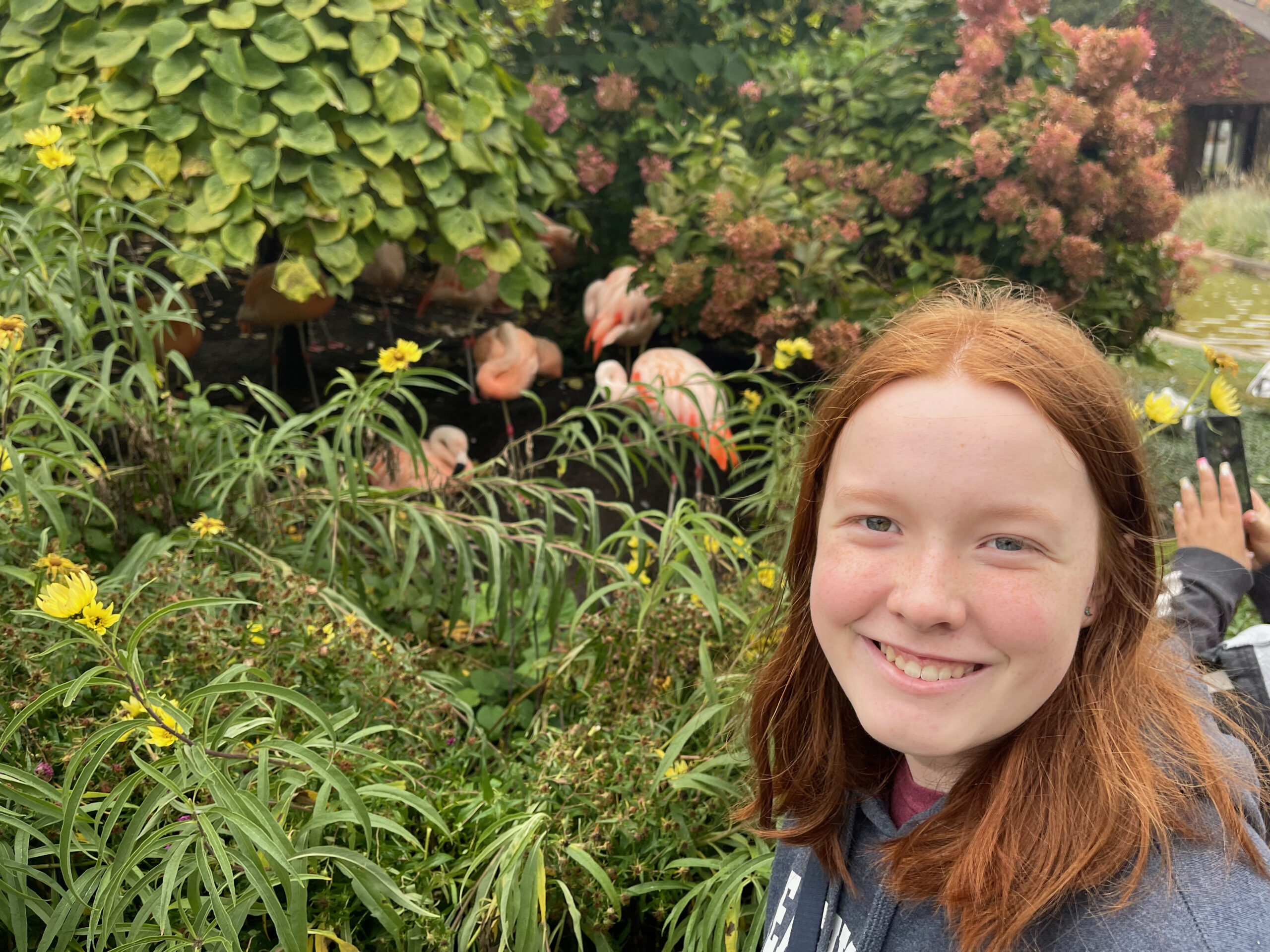 Cameron smiles at MetroParks Zoo, with pink flamingos just behind her hiding in the tall grass.