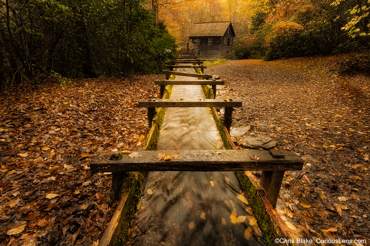 Historic Mingus Mill in Great Smoky Mountains National Park during peak autumn colors with yellow leaves, rainy morning, and illuminated mill building.