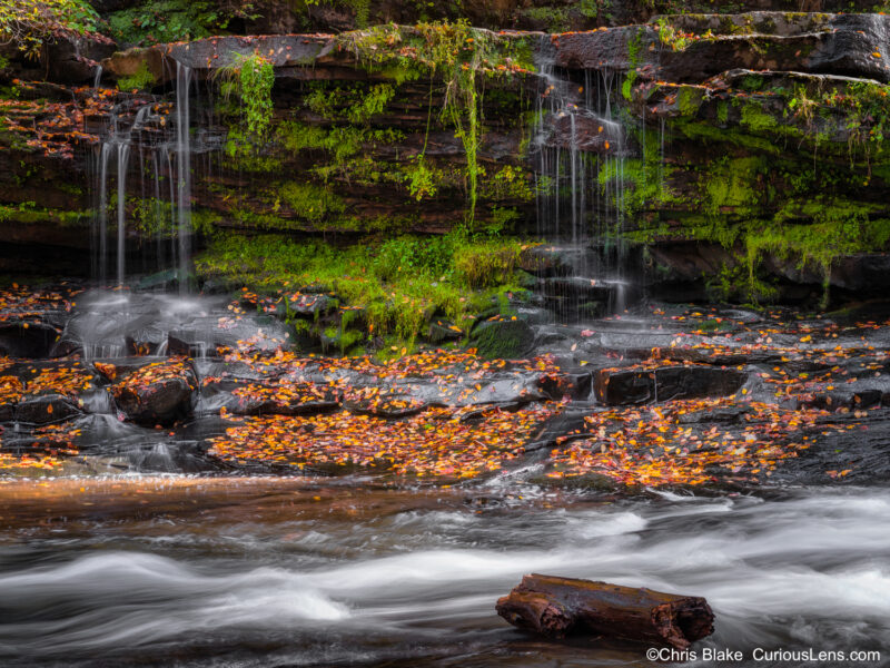 Dunloup Creek Falls in New River Gorge National Park with rushing river, glowing green moss, and fallen leaves in soft light and gentle rain.