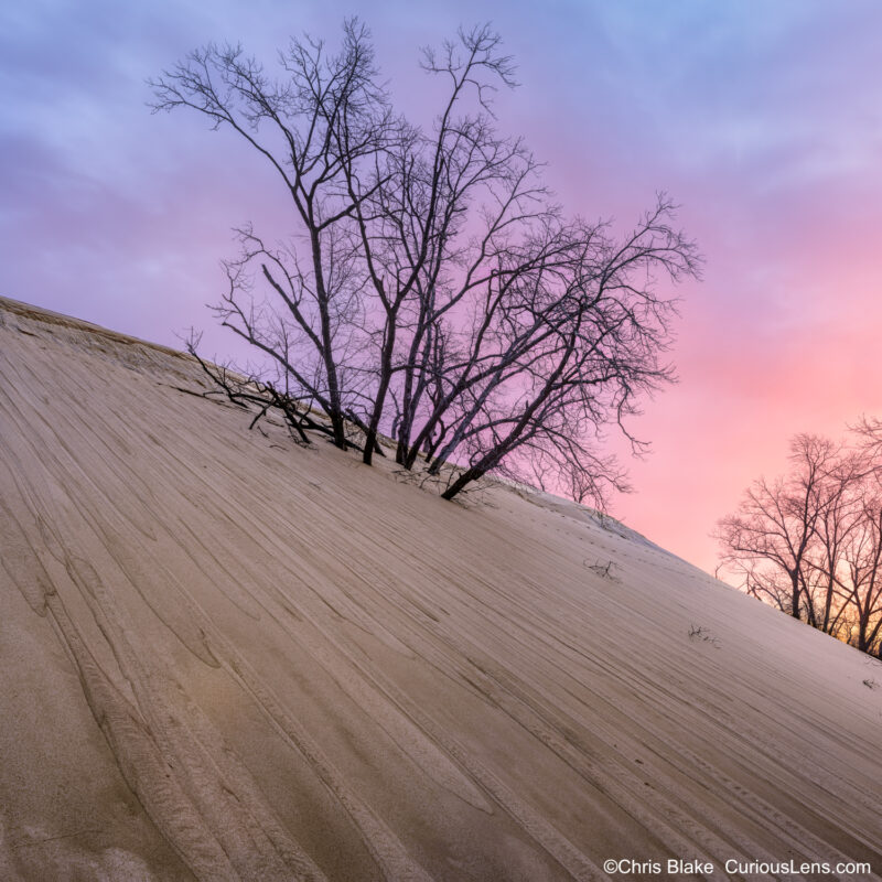 Sunrise at Mount Baldy in Indiana Dunes National Park with warm sky tones contrasting dark trees and sand